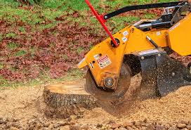 Best Lawn Watering Services  in Tamaqua, PA